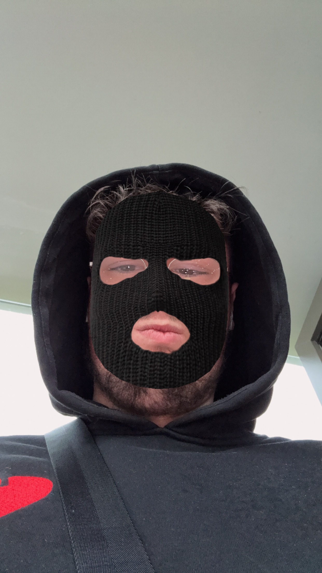 Profilo di Paul-arnaud