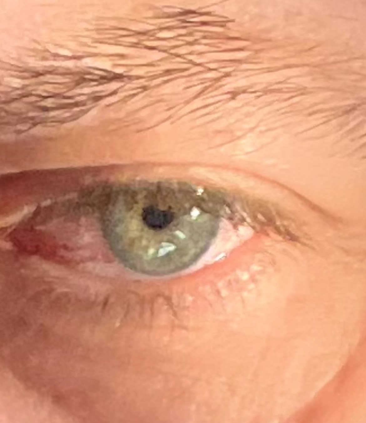 Profilo di Abdou-karim